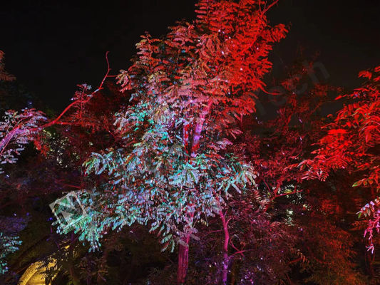 10°C-35°C 온도 범위 RGB 조명으로 빛나는 레이저 쇼